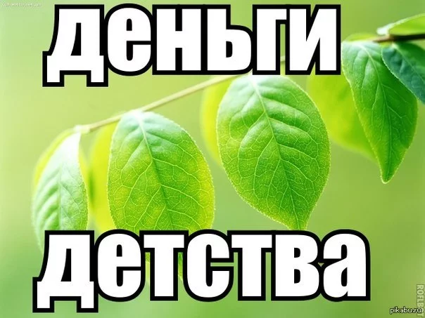 1375643152_1858487276.webp