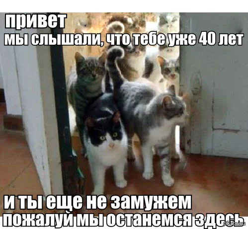 1376517504_1747438456.webp