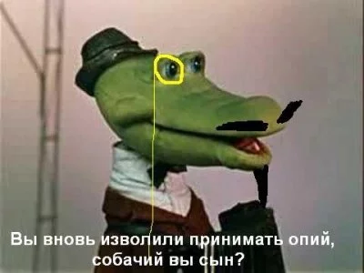 13768344855985.webp