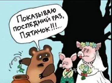 1376e2ea9fd7056fa.webp