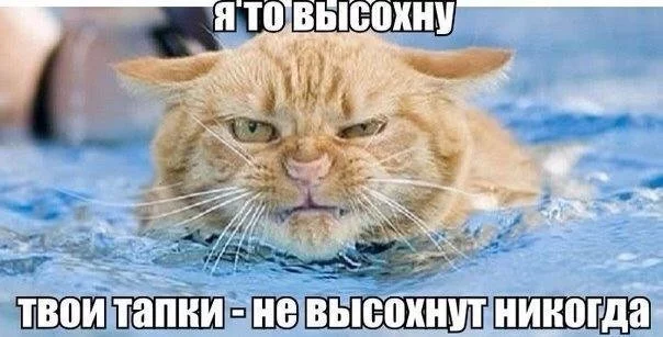 13778787402092.webp