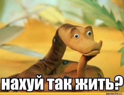 13783297666968.webp