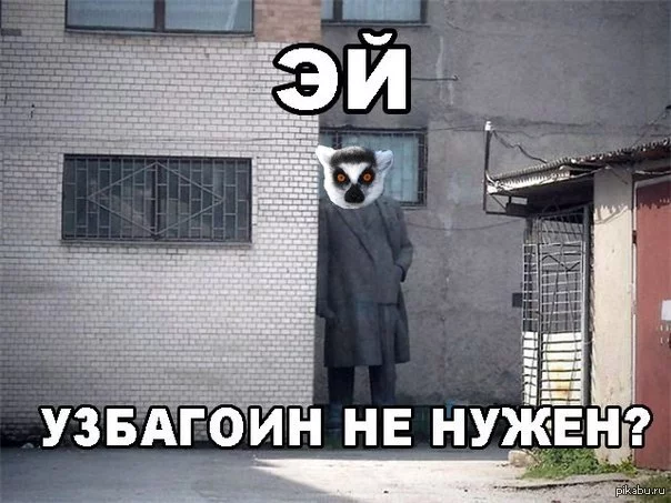 1378392219_182084007.webp