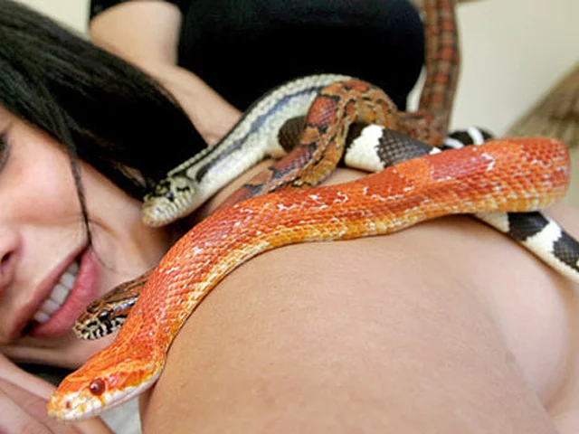 137888_snake_massage_17.webp