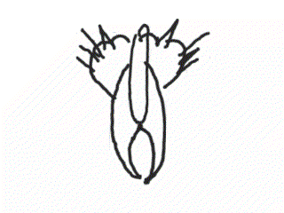 1378980916_1306538847.gif