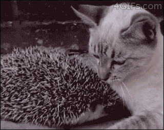 1379027101_184655750.gif