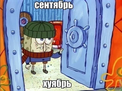 1379312594_1968485886.webp