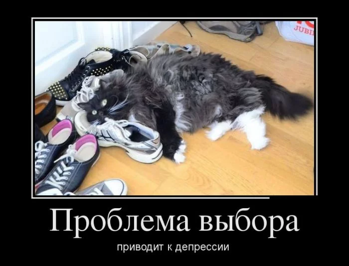 1380793237_1.webp