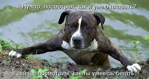 1380879969_543986407.webp
