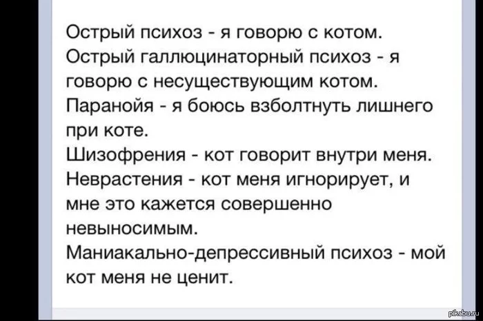 1382717023_704639199.webp