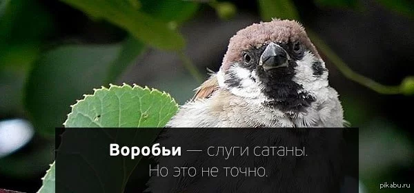 1383570492_301574047.webp