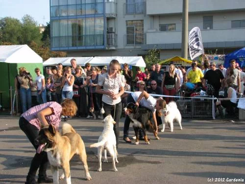 13836103.webp