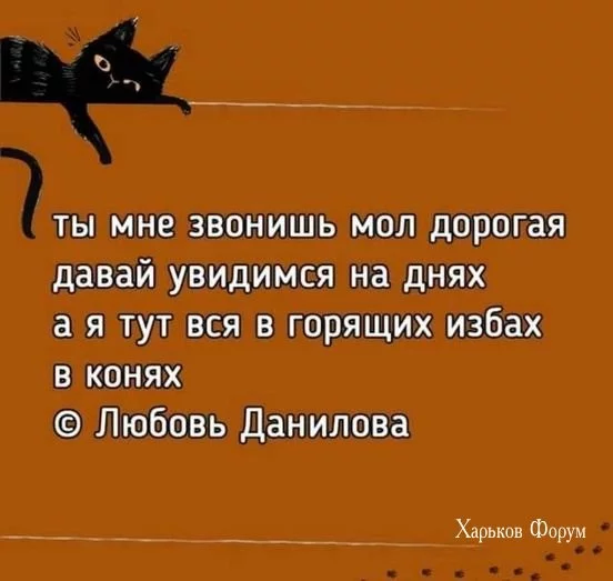 1383bdf6e0f6d07d40.webp
