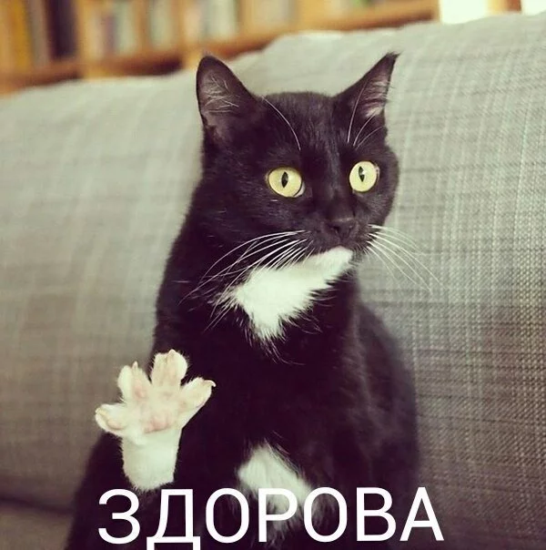 13844336663693.webp