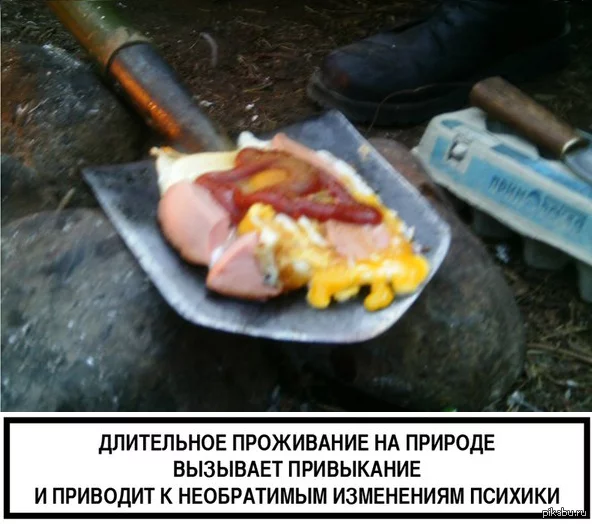 1384698879_2124917985.webp