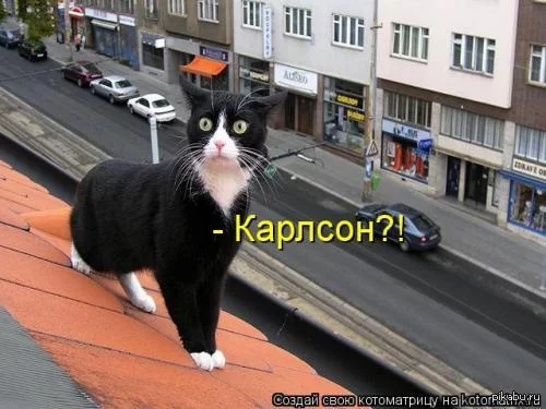 1385197271_987681328.webp