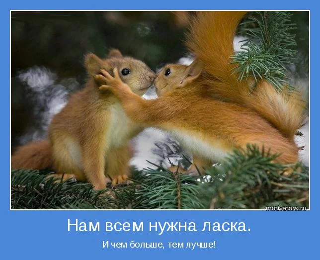 1385742028_dobrye-i-laskovye-motivatory-7.webp