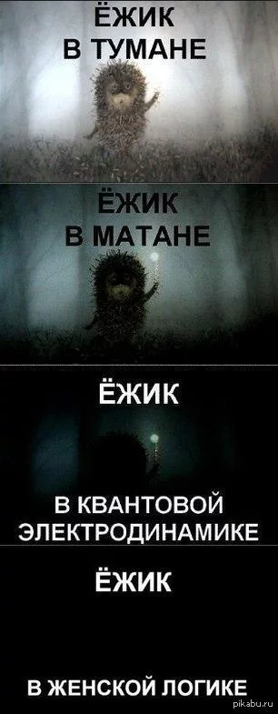 1386141618_113498435.webp