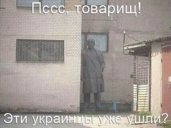 1386527596_2021677825.webp