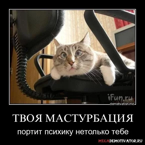 13874748525734.webp