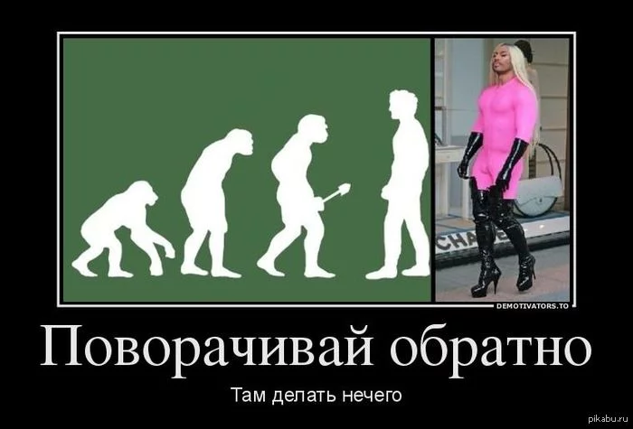 1387765954_810740031.webp