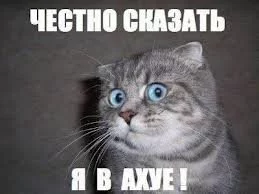13878090531900.webp