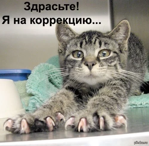 1388967927_1526903684.webp