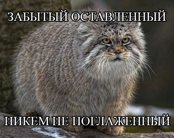 1389107923_387344889.webp