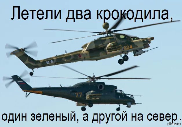 1389677726_1790045143.webp