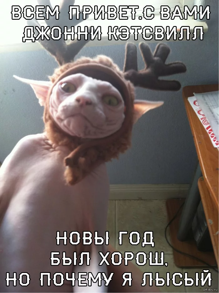 1389968234_1250449171.webp