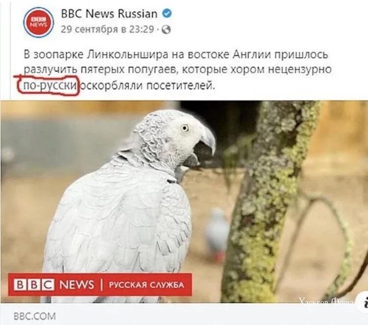 138e76494589b46b343cf7.webp