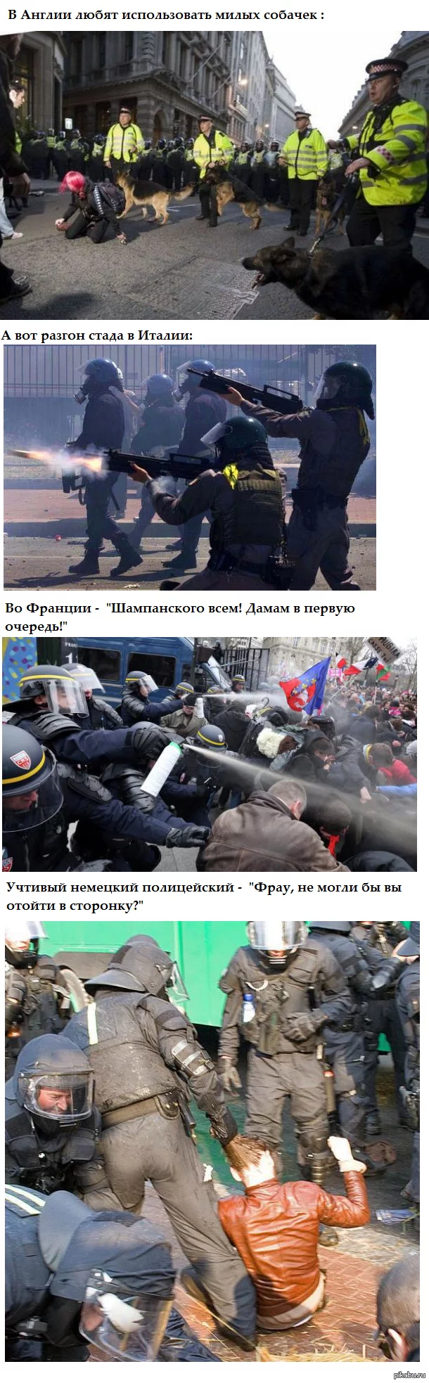 1390739721_438066715.webp