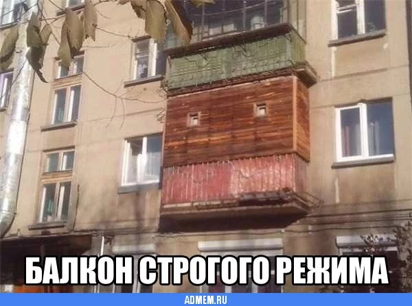 1391039525.webp