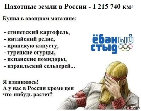 1391289598_6292966.webp
