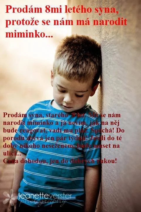 13914610.webp