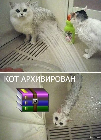 1391601243_2075147668.webp