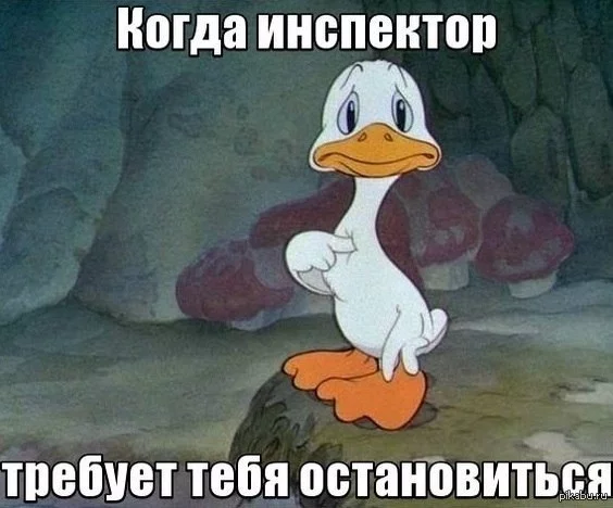 1391759798_1951869818.webp