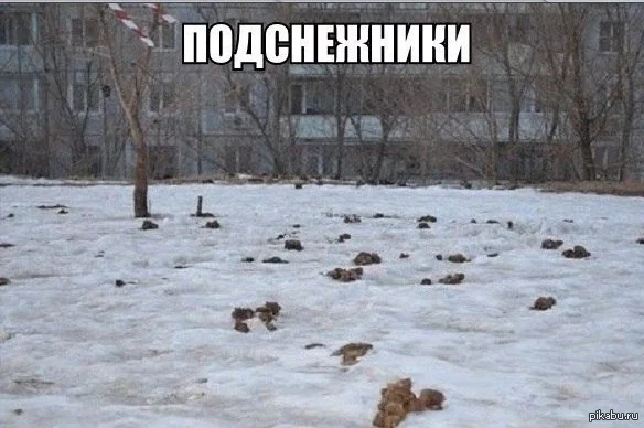 1392572349_1104828531.webp