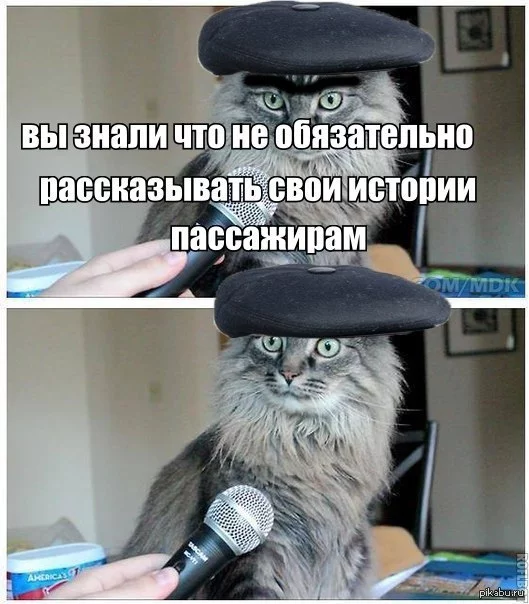 1392854233_930555483.webp