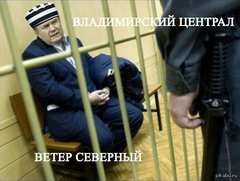 1393253775_491326318.webp