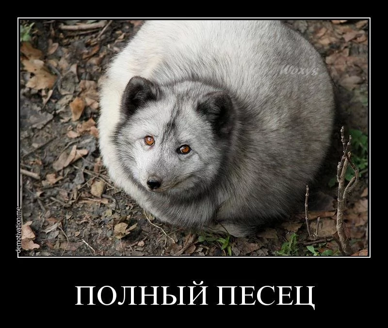 13934153205369.webp