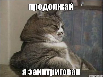 13942260556078.webp