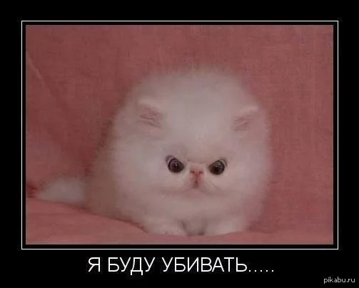 1394725851_1429582774.webp