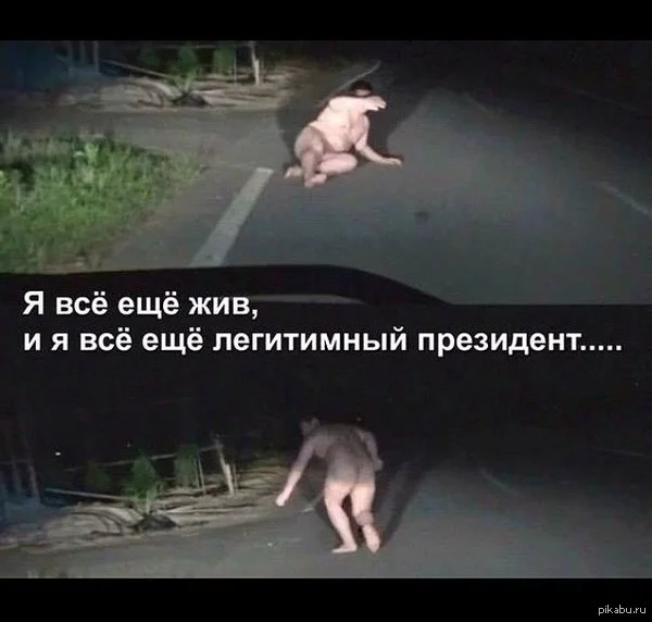 1395228637_854649757.webp