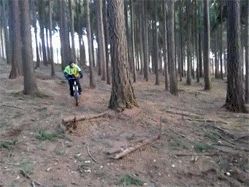 1395297435_2109510293.gif