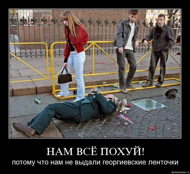 13955993343355.webp