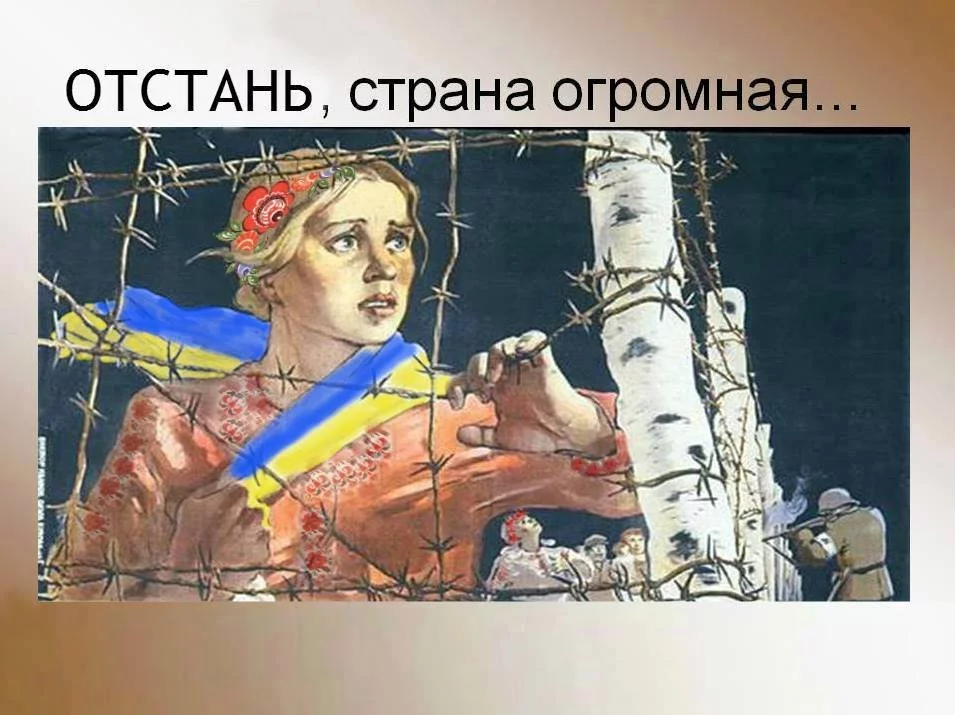 1395850139_1975145_847510745276087_1274891522_n.webp