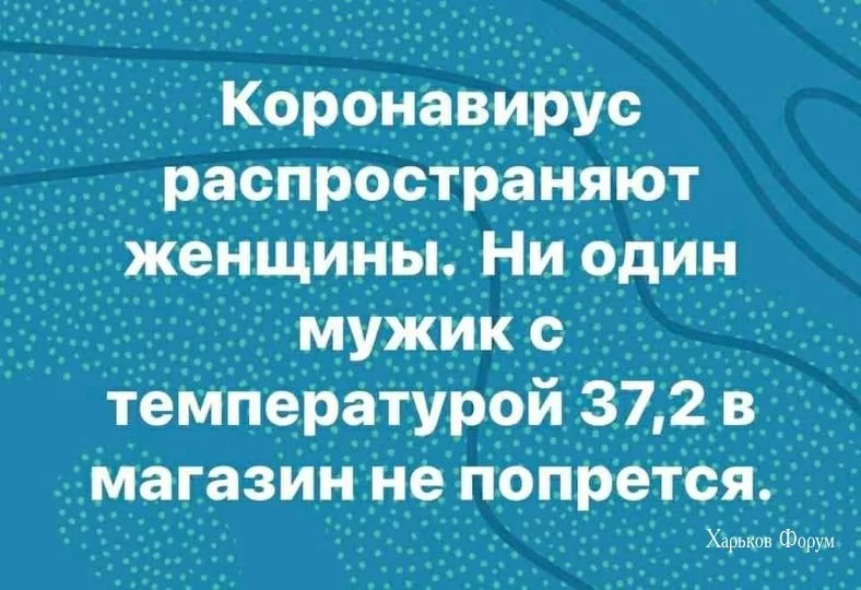 1395a291897560272cf55e.webp