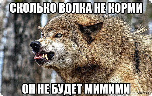 1396159486_305752002.webp