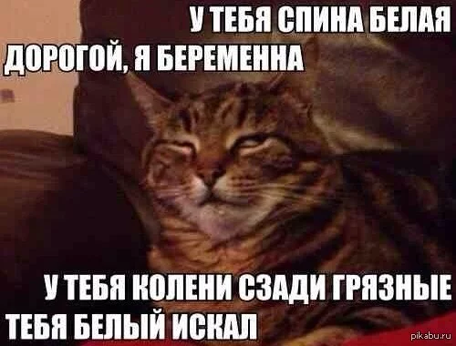 1396293880_432627242.webp